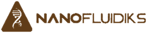 Nanofluidiks