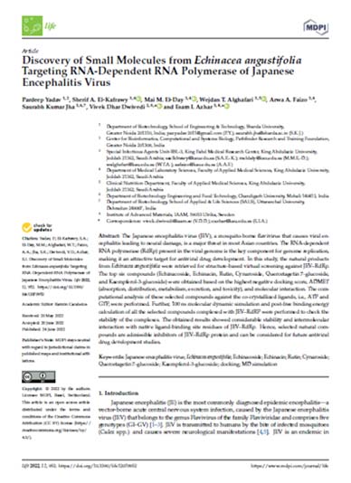 Discovery of Small Molecules from Echinacea angustifolia Targeting RNA-Dependent RNA Polymerase of Japanese Encephalitis Virus